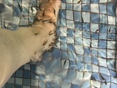 -涨巢·潮玩水疗局