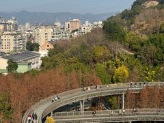 -福道