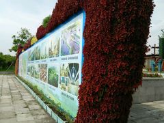 -杭州湾海上花田景区