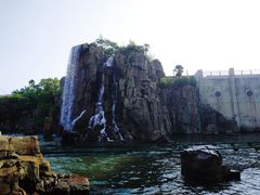 -飞天翼龙