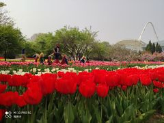 -石家庄市植物园