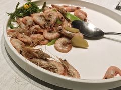活蛎虾-开海·红岛海鲜虾水饺(石老人店)