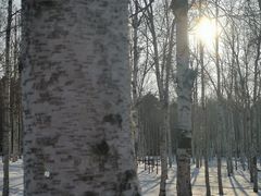 -长春市南湖公园