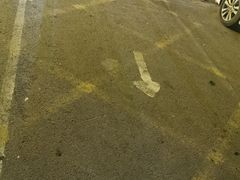 -夜的第七章·演艺自助餐厅