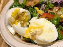 -油梨树 AVOCADO TREE(亮马桥店)