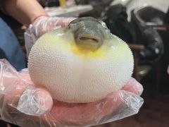 -肆月河豚·新淮扬(金融街店)