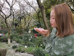 -中国茶叶博物馆(双峰馆区)