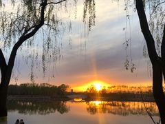 -大兴滨河森林公园