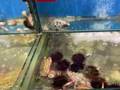 -黑石礁酒楼·海鲜(黑石礁店)