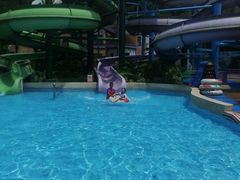 -重庆海昌加勒比海水世界