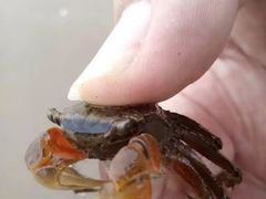 -珠海金沙滩
