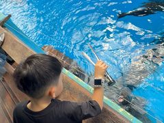 -海合安成都极地海洋公园
