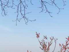 -西湖外事游船(花港观鱼码头)