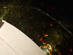 -晶采轩(恒隆广场店)