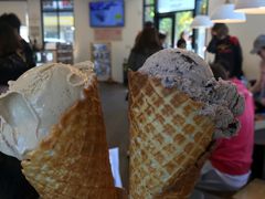 -Patagonia Chocolates(皇后镇店)