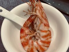 -新锦鸿(演达店)