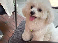 -旅马餐厅(茅家埠店)