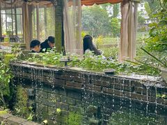 -野蔓果·山野菜(西湖景区·龙井茶田店)