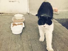 -赵府街副食店