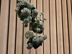 -華府Deluxe(兴业太古汇店)