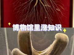 -北京中医药大学-中医药博物馆