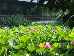 -3W咖啡(国家软件园店)