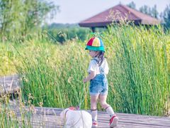 -永定河休闲森林公园