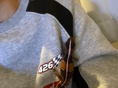 -酷以爬仙阁实体爬宠店·守宫·蜥蜴·专业繁育