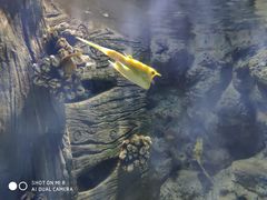 -福州罗源湾海洋世界旅游区