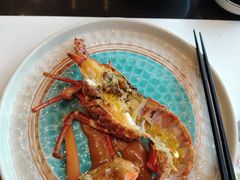 -将军日本餐厅·Shogun(厦门马哥孛罗东方大酒店)