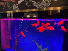 -蜀锦堂·川味现炒(襄阳武商汇店)