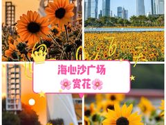 -海心沙亚运公园