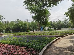-黑龙江省森林植物园