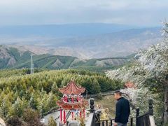 -苏木山森林公园