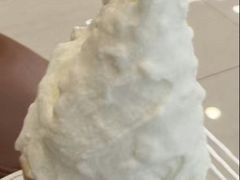 -野人先生现做冰淇淋(北京环宇荟店)