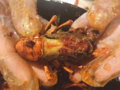 -巴厘龙虾·榜首油焖大虾(洞庭·艺术洋房店)