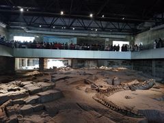 -自贡恐龙博物馆