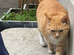 -知亘茶食
