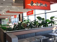 -东方既白(上海浦东国际机场)