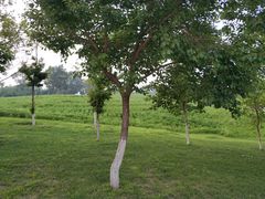 -长春世界雕塑园冰雪艺术天地