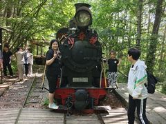 -五营红松林海景区