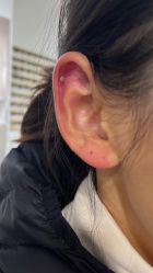-AI艾耳·专业手工耳洞·穿孔美学馆