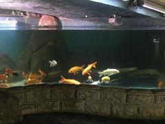 -苏州海洋馆
