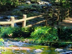 -广州市石门国家森林公园