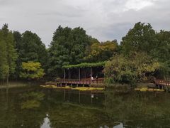 -上海滨江森林公园