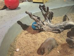 -正佳雨林生态植物园