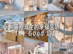 -翊宠yipet猫狗购宠庄园犬舍•猫舍