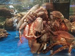 -盒马X会员店(王府井奥莱UP TOWN店)