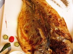 -赶海部落海鲜城(海阳路店)