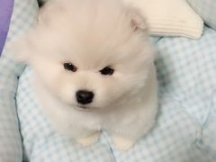 -宠颐生中康贝怡动物医院